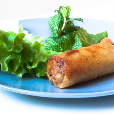 NEMS POULET CREVETTE P/10